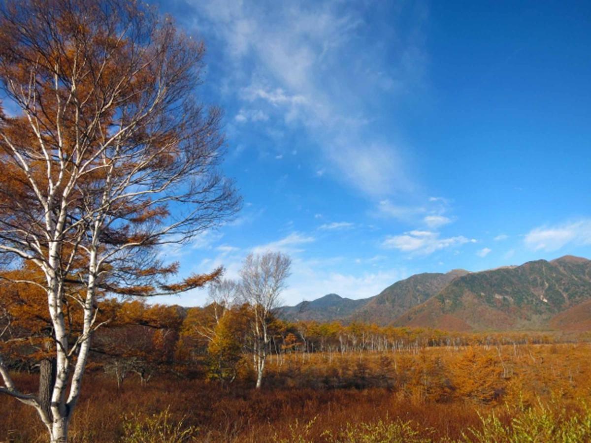 Okunikko Park Lodge Miyama מראה חיצוני תמונה